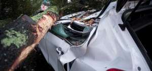 Un Chevrolet Tracker y su conductor resultaron afectados, la tarde del mi&eacute;rcoles, por la ca&iacute;da de una acacia en el parterre de la av. Amazonas.
