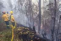 Incendio forestal afectó al barrio de San Roque