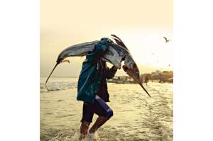 La pesca, el motor de empuje para Manta (Portafolio Gr&aacute;fico)