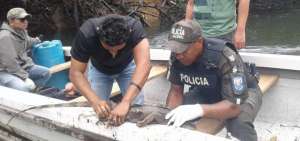 Personal del Ministero de Ambiente  (MAE) inspeccion&oacute; el &aacute;rea afectada por el derrame y atendi&oacute; algunos animales.
