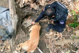La mayor parte de la droga incautada se encontró en una finca en Yaguachi.