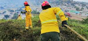 Once unidades de la Divisi&oacute;n Forestal de Bomberos colaboraron en la extinci&oacute;n del incendio forestal.