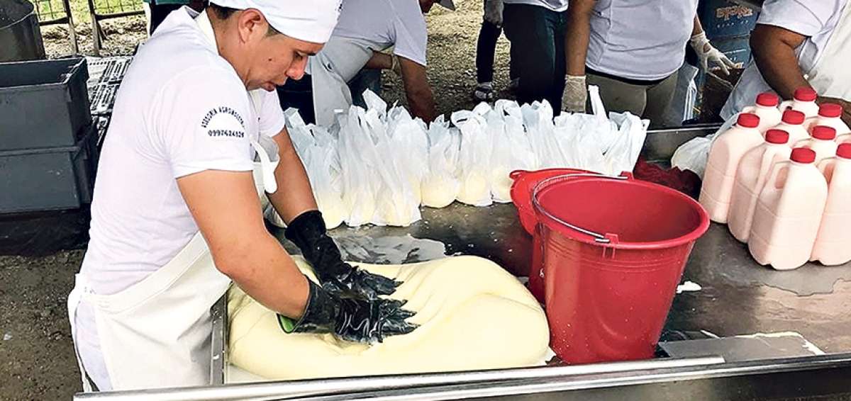 El queso, la cuajada y el suero blanco fueron las principales figuras del festival que este a&ntilde;o lleg&oacute; a su edici&oacute;n 13. 