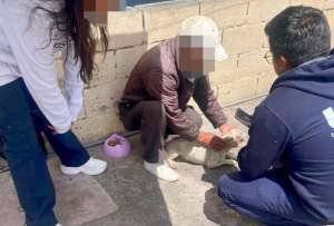 Quito: multa de USD 11.593 por maltrato animal en San Isidro del Inca