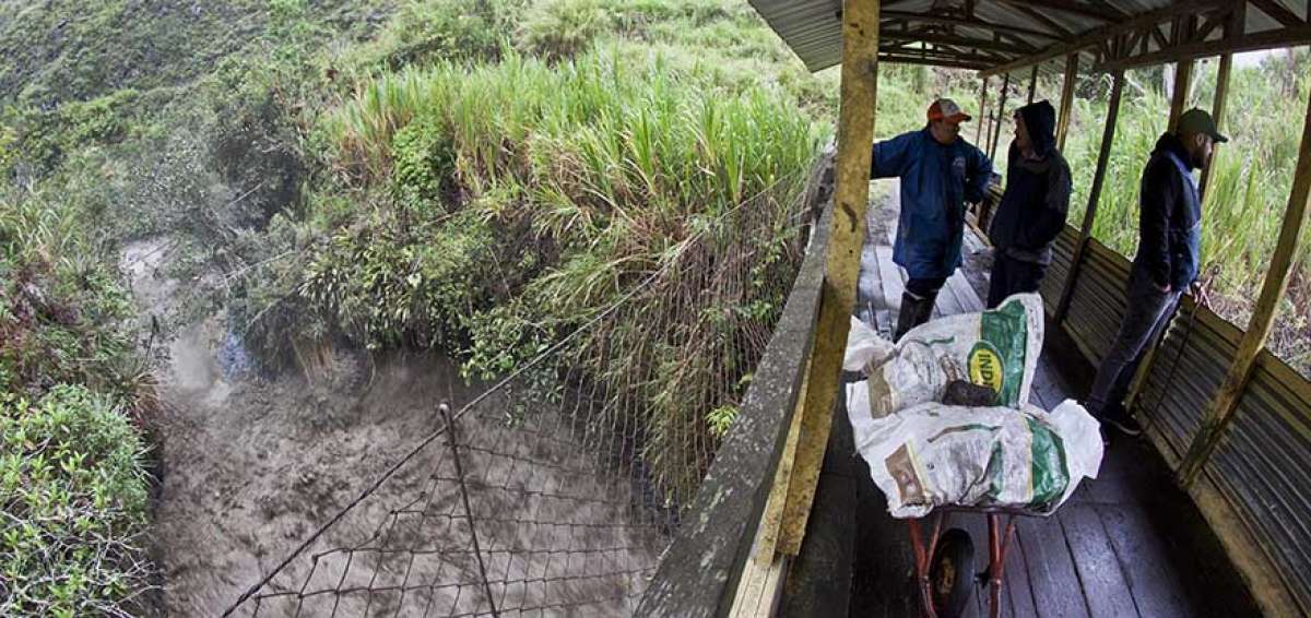 De a poco los agricultores de R&iacute;o Blanco, El Triunfo y Vizcaya retoman las labores del campo. Ayer, parte de sus cosechas se vendieron en Ambato.   