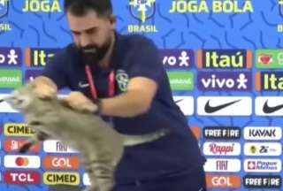 La Confederación Brasileña de Fútbol sería multada por botar al gato en la conferencia de prensa
