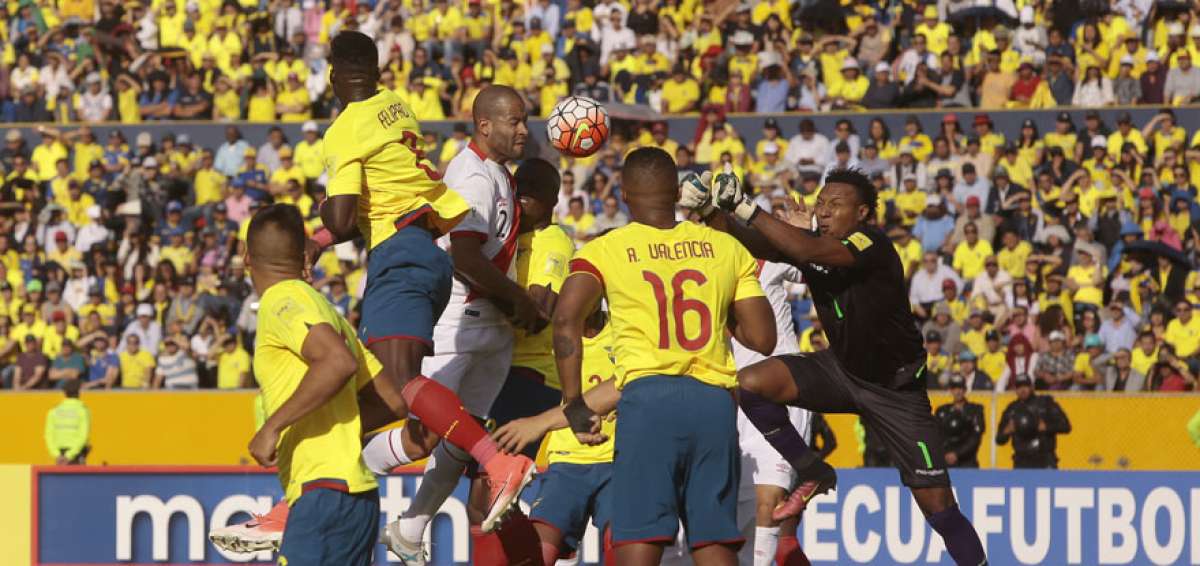 Ecuador jugar&aacute; en horario simult&aacute;neo el &uacute;ltimo partido de las Eliminatorias