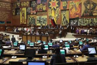 La Asamblea se ratificó en los textos relacionados con el Consejo Directivo del IESS.