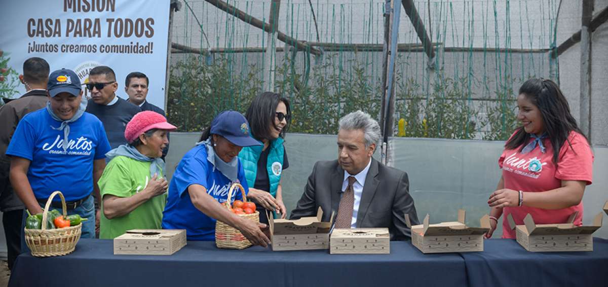 Los productores del invernadero junto al presidente Len&iacute;n Moreno empacaron los tomates y pimientos que se vender&aacute;n en supermercados.