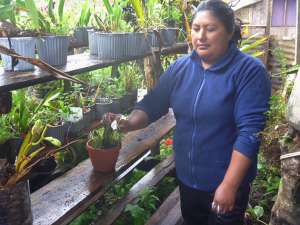 Zoila Pilataxi vive de la ganader&iacute;a en Cosanga, pero tambi&eacute;n se apasiona por el cultivo de orqu&iacute;deas.