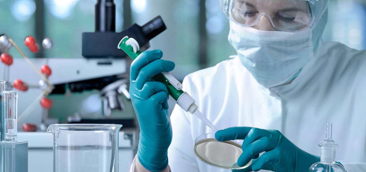 Un hongo conocido como 'c&aacute;ndida' produce las infecciones vaginales en el 75% de mujeres