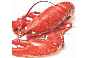 Mompiche ofrece opciones para comer mariscos en la playa