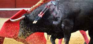 Las corridas de toros reciben una 'estocada' en Colombia