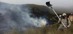 Incendio forestal en el sector del nevado Chimborazo es controlado