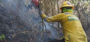 Bomberos controlan incendio en Cerro Azul