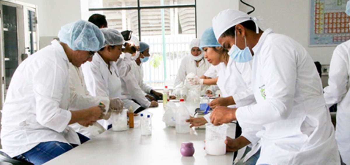 La Senescyt abre cupos en los institutos t&eacute;cnicos y tecnol&oacute;gicos
