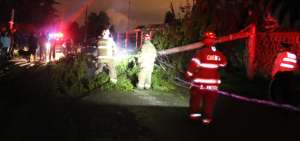 En el sector de Ochoa Le&oacute;n, en Cuenca, la ca&iacute;da de un &aacute;rbol tumb&oacute; tambi&eacute;n un poste de alumbrado p&uacute;blico.
