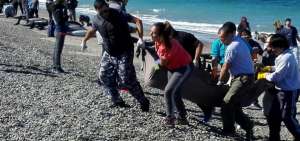 Encuentran 49 delfines muertos en una playa de Argentina