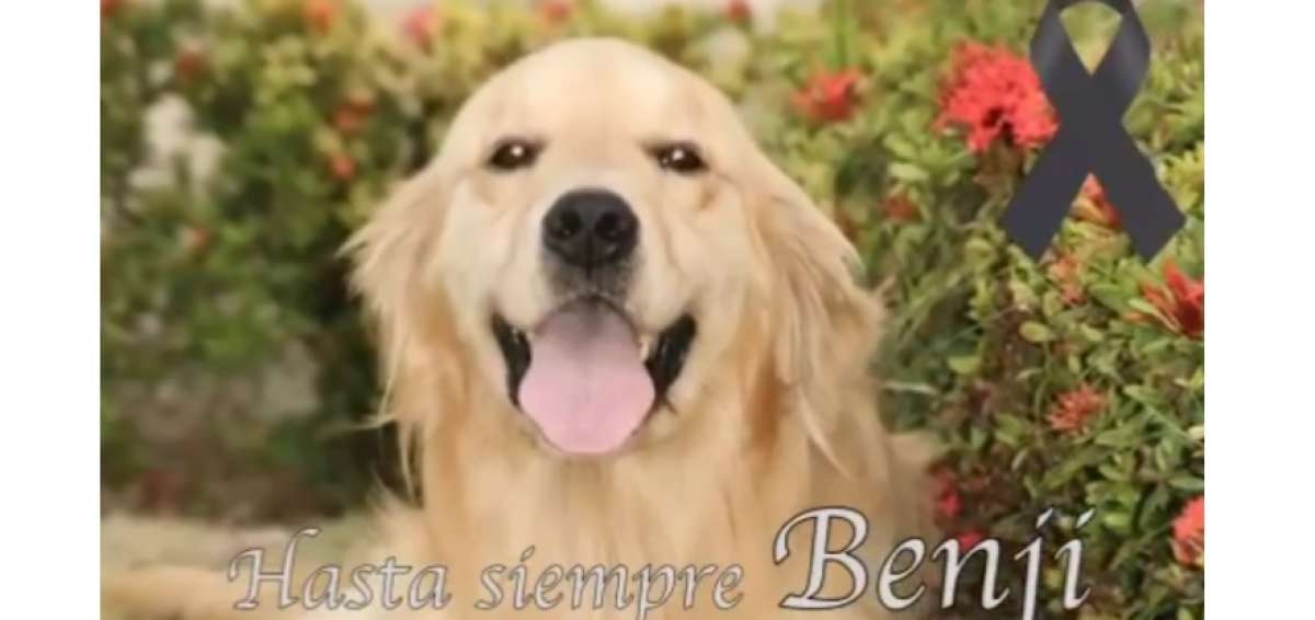 Benji llevaba 8 a&ntilde;os en la instituci&oacute;n policial.