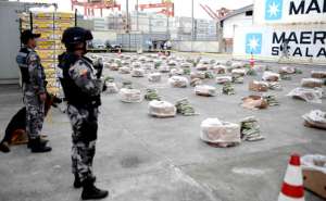 Uno de los &uacute;ltimos grandes cargamentos de droga estaba camuflado en bananas sint&eacute;ticas e iba a ser enviado hacia B&eacute;lgica desde el puerto mar&iacute;timo de Guayaquil. Foto: William Orellana 