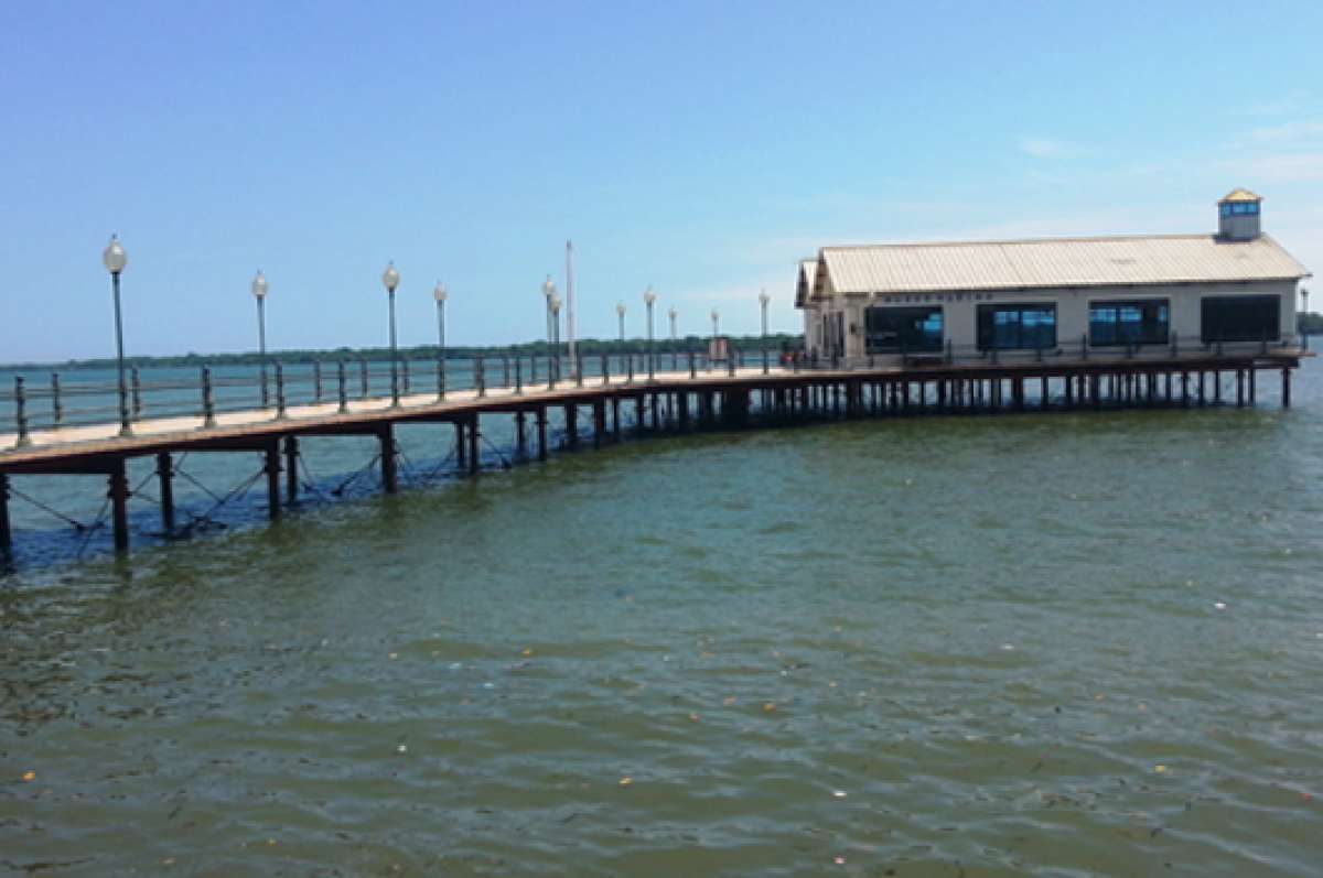 Vista del Museo Marino de la Casa de la Cultura, que alberga m&aacute;s de 5 mil piezas de fauna marina, los mismas son visitadas por turistas nacionales y extranjeros. FOTOS: FABRICIO CRUZ/ EL TEL&Eacute;GRAFO
