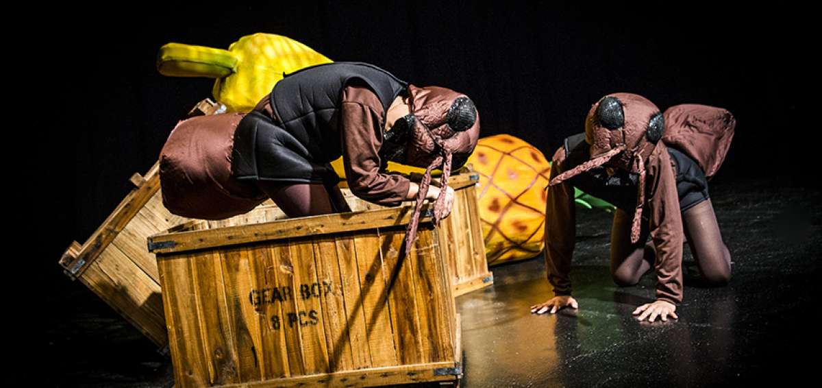 'Hormigas' estar&aacute; en cartelera del Teatro S&aacute;nchez Aguilar el 24 de noviembre y el 1 de diciembre de 2019, a las 11:00 y a las 16:00.
