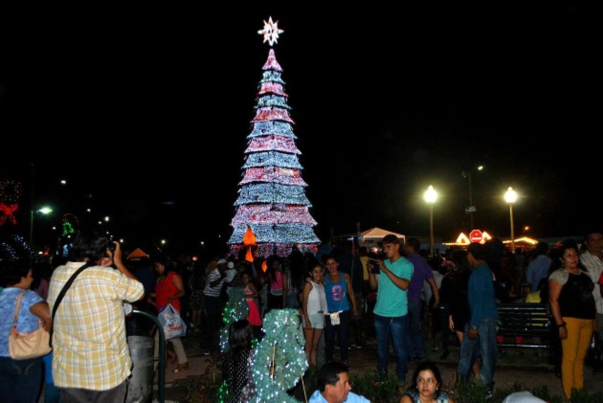 El &aacute;rbol se mantendr&aacute; encendido hasta el 10 de enero. 
