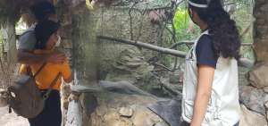 Hoy se vivir&aacute; el primer fin de semana con zool&oacute;gicos abiertos