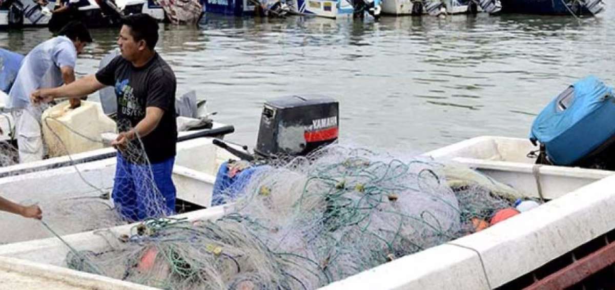 El uso de artes de pesca sostenible fue analizado