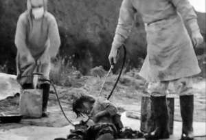 Transfusiones de sangre entre humanos y animales, vivisecciones, algunas de las pr&aacute;cticas durante la guerra entre China y Jap&oacute;n. 