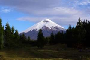 En mayo se contabilizaron 3.000 sismos locales en el volc&aacute;n, respecto a los 628 eventos registrados en abril. Foto: Instituto Geof&iacute;sico 