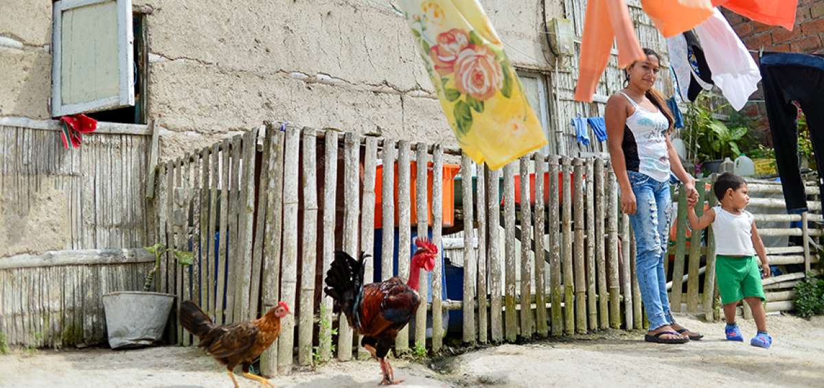 En pleno centro de El Aromo, las casas con paredes de ca&ntilde;a guad&uacute;a, que son recubiertas con la t&eacute;cnica del enquinchado, siguen siendo habitables por familias de j&oacute;venes y, sobre todo, por los adultos mayores de esa zona.