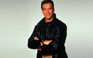 Arnold Schwarzenegger ser&aacute; un gay rudo en Mercenarios 3