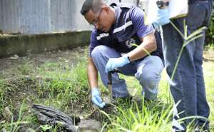 Desde 2009 hasta 2013 el &iacute;ndice de homicidios en el pa&iacute;s se redujo 8 puntos. Foto: William Orellana | El Tel&eacute;grafo