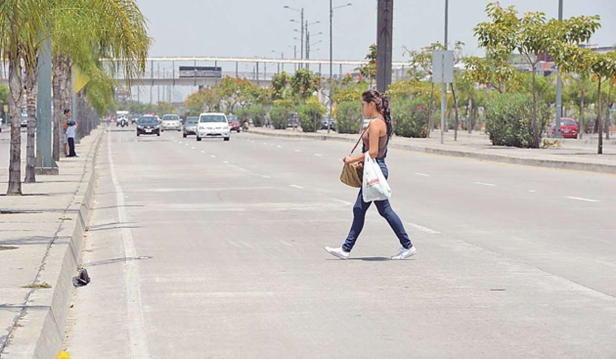 El la v&iacute;a Terminal-Pascuales 6 personas ya han fallecido arrolladas por no usar el paso peatonal. La ATM desarrollar&aacute; la campa&ntilde;a en ese punto. Foto: Miguel Castro / El Tel&eacute;grafo