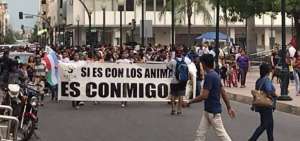 La manifestaci&oacute;n recorri&oacute; varias calles del centro de la capital orense. 