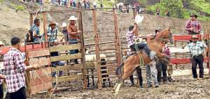 La doma de potros es uno de los espect&aacute;culos m&aacute;s esperados por los habitantes del recinto El Lim&oacute;n que est&aacute; situado en el cant&oacute;n azuayo Santa Isabel. Foto: Jorge &Aacute;lvarez / para El Telegrafo