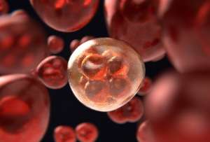 Así puedes reconocer el cáncer en sus etapas tempranas