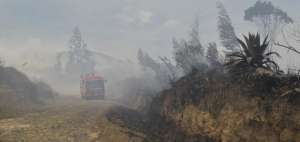 Hasta las 13:00 con ayuda de una autobomba y un tanquero, los bomberos continuaban en las labores de sofocaci&oacute;n del fuego.