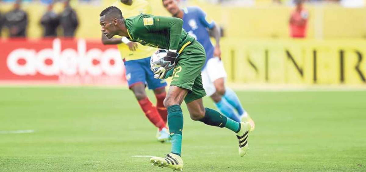 Alexander Dom&iacute;nguez fue titular en todos los partidos de eliminatorias, salvo en el duelo contra Venezuela, por lesi&oacute;n. Esteban Dreer lo sustituy&oacute;.