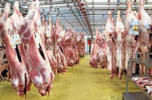 Los ganaderos consideran que faltan centros de faenamiento antes de pensar en una futura exportaci&oacute;n. Foto: Miguel Castro / El Tel&eacute;grafo
