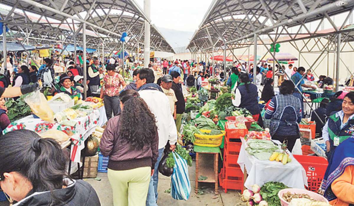 En Ambato, algunos comerciantes incentivaron el uso de las fundas de papel, pero el proyecto no tuvo el apoyo necesario para sostenerse. Foto: Jos&eacute; Miguel Castillo/El Tel&eacute;grafo