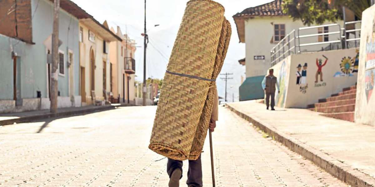 La Totora se encuentra en los lagos San Pablo y Yahuarcocha. 