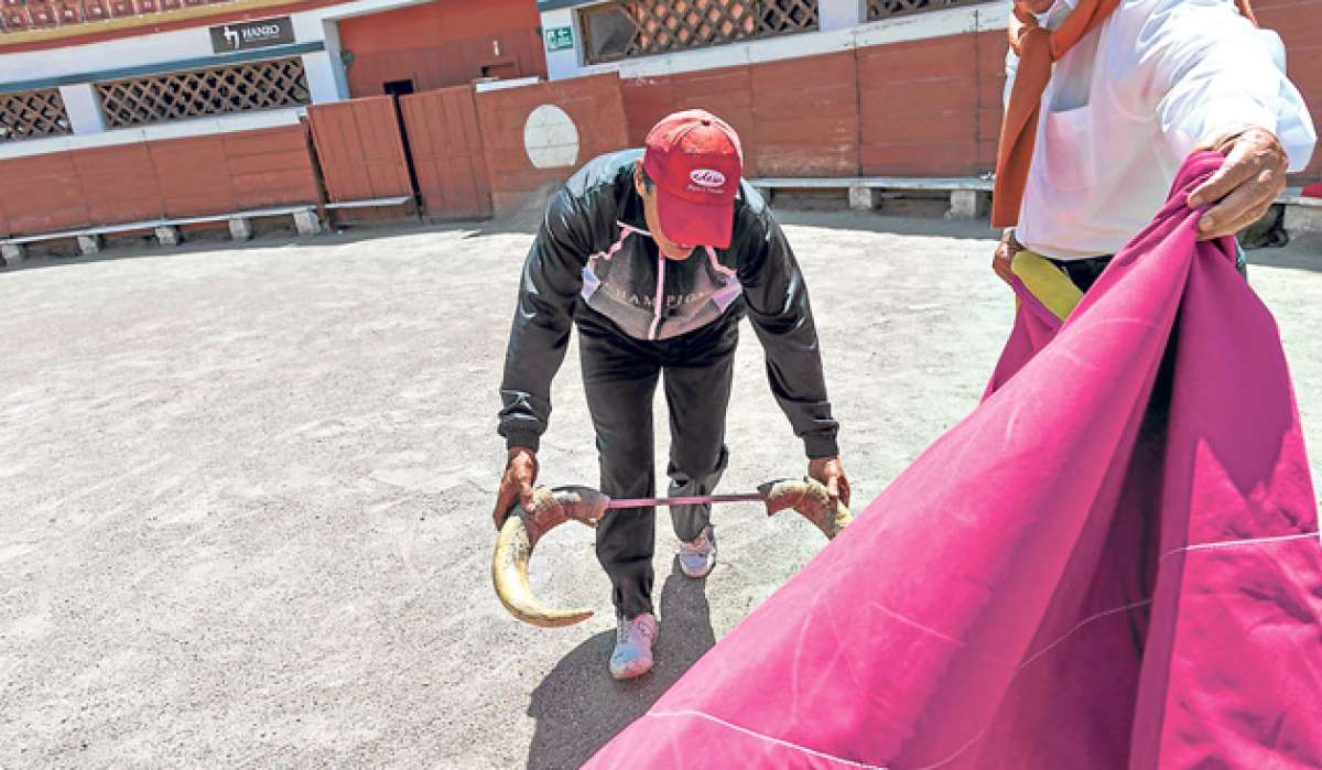 Mientras los toreros se preparan para las corridas programadas para diciembre, organizaciones que defienden los derechos animales alistan protestas. Foto: Fernando Sandoval / El Tel&eacute;grafo