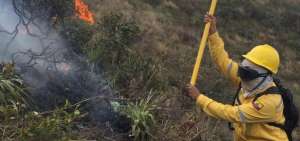 110 personas combaten incendio forestal en la reserva Pululahua