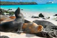 La ruta Manta-Galápagos será controlada para evitar el ingreso de plagas a las islas