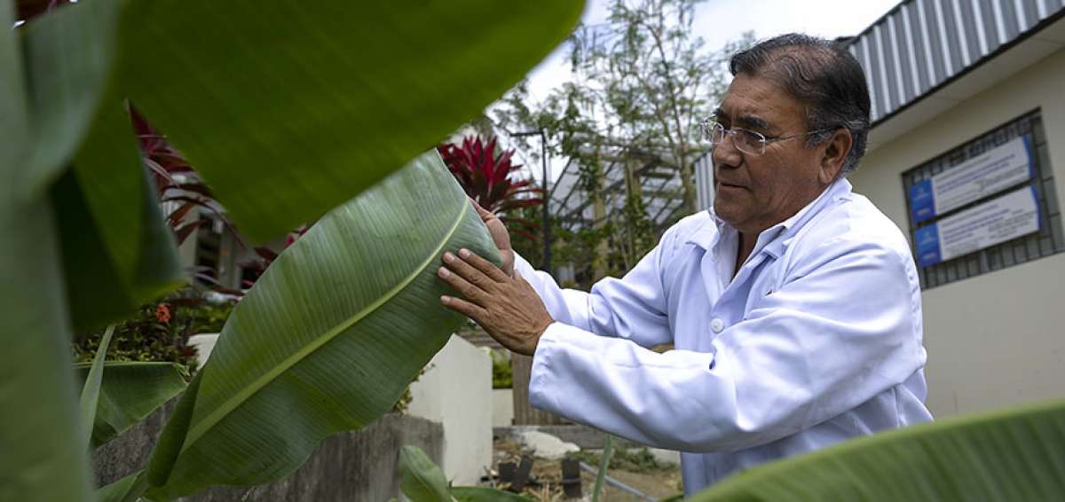 &Aacute;ngel Llerena Hidalgo, docente e investigador de la Universidad Cat&oacute;lica de Santiago de Guayaquil  