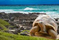 Ecuador canjea millonaria deuda para proteger a las Islas Galápagos