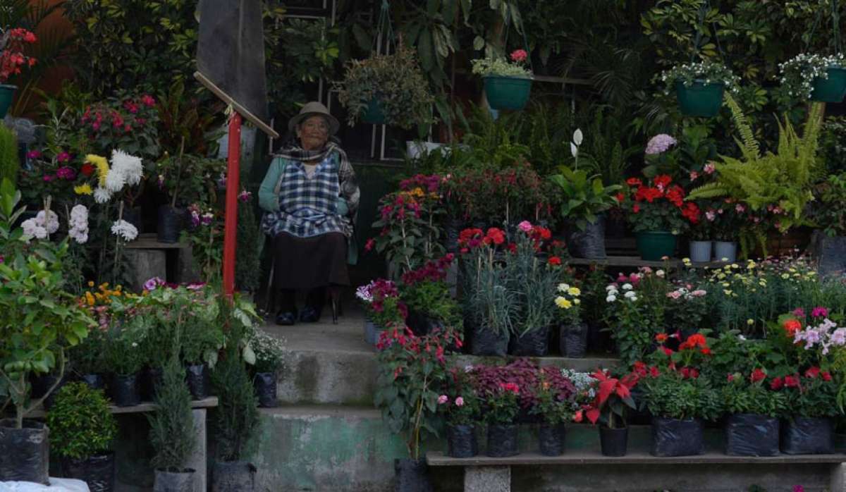 La mayor&iacute;a de familias de la parroquia se dedican a la venta de plantas ornamentales. Muchos de esos negocios son de tipo familiar.