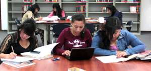 Miles de estudiantes de la provincia acuden, a diario, a la biblioteca para reforzar sus estudios con lecturas.